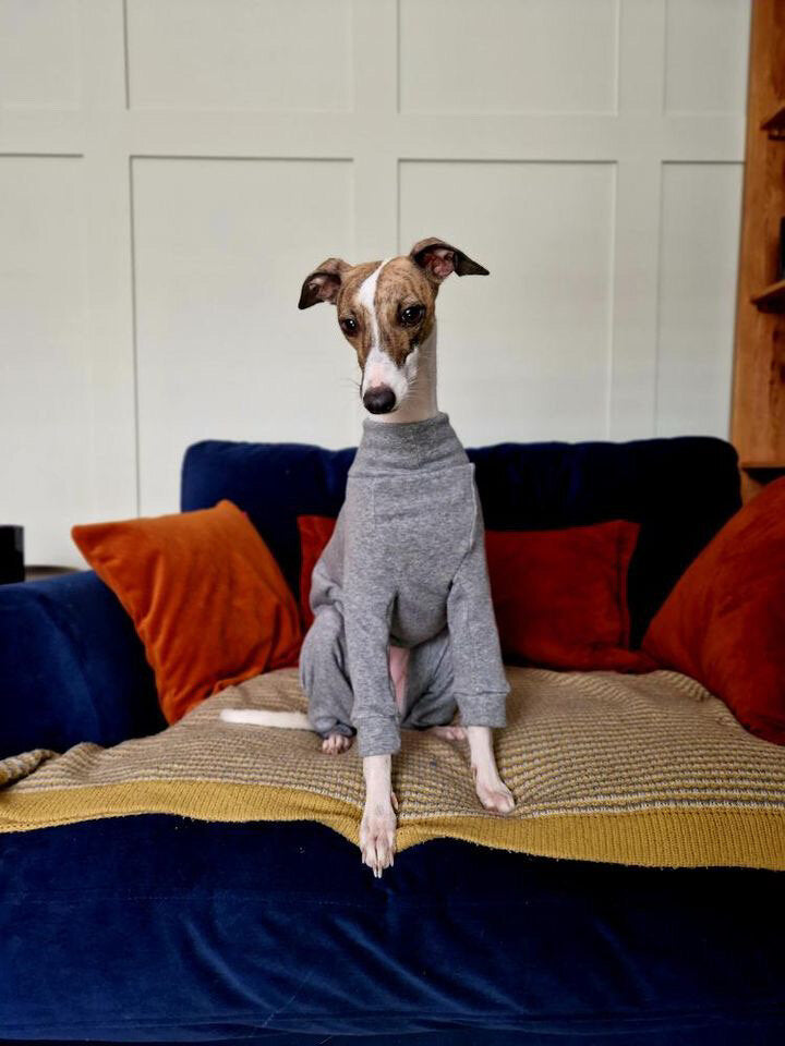Puppy Fleece Lined Sweatshirt - Grey