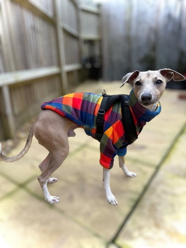 Sherpa Lined Fleece Jumper - Bright Plaid