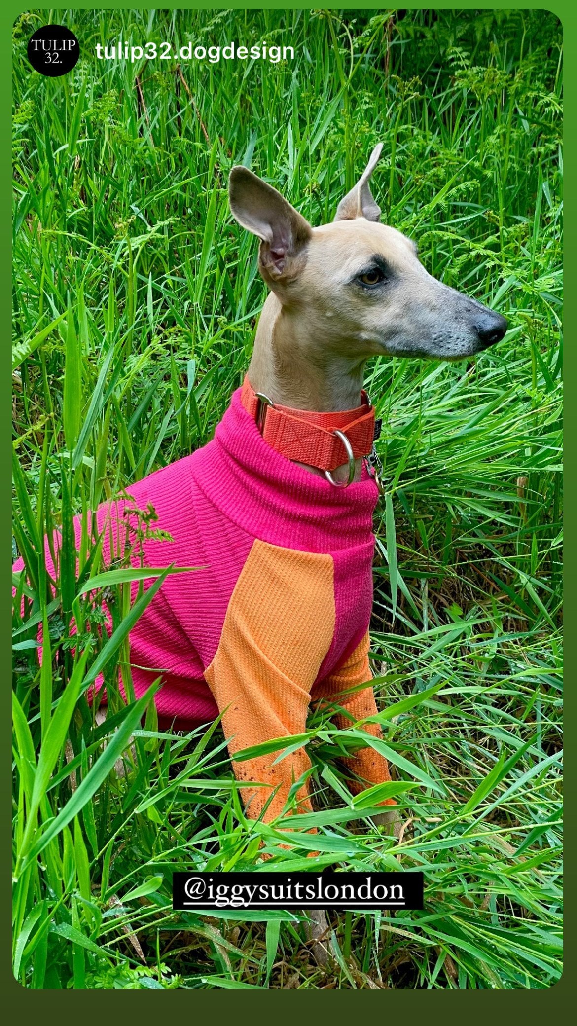 Ribbed Jersey T-Shirt - Fuchsia