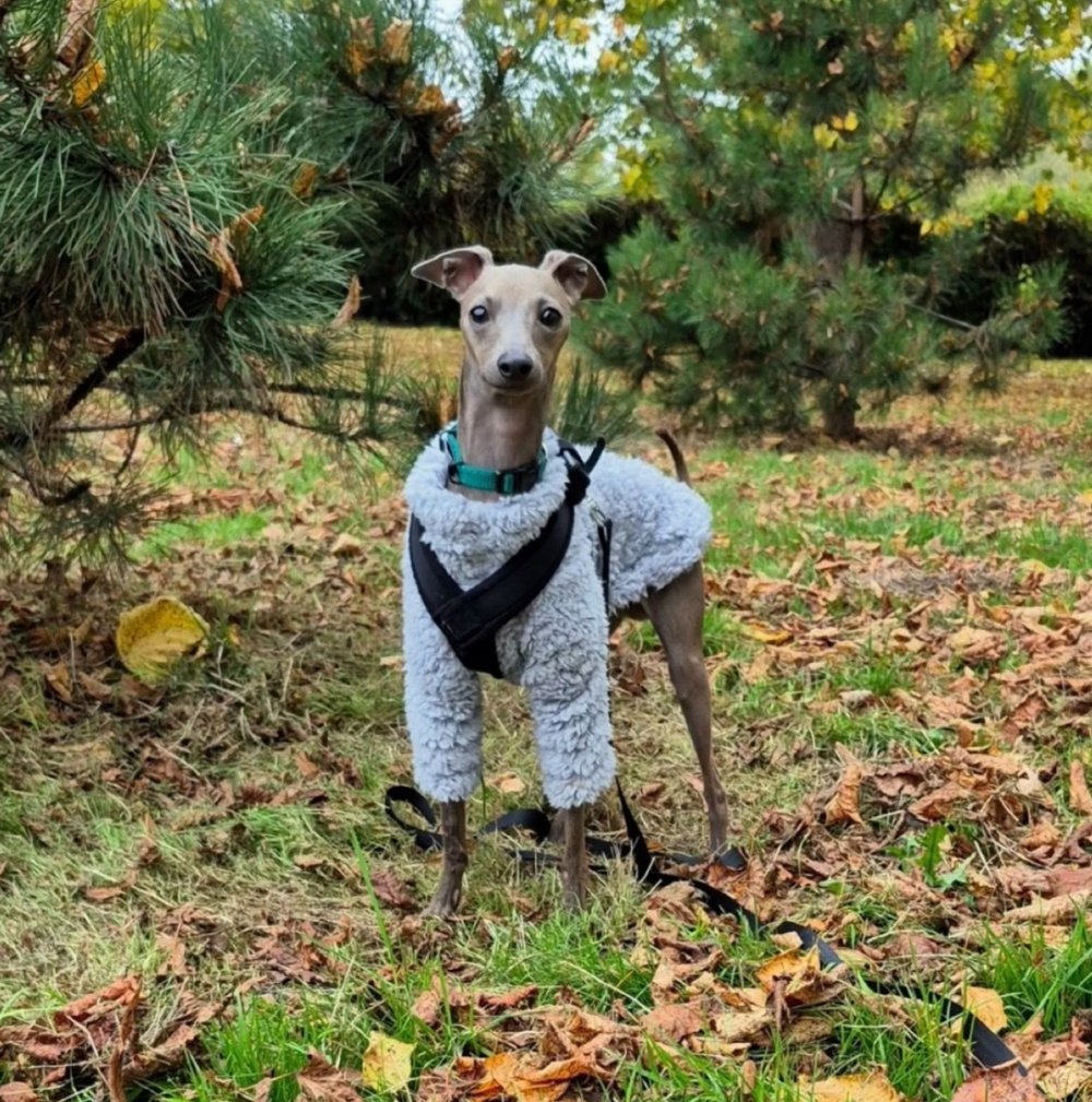 Cuddle Fur Fleece Jumper - Little Lamb