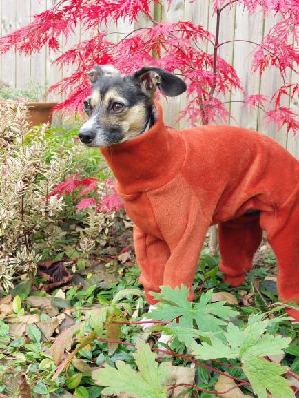Fleece Lined Sweatshirt Suit - Green & Red