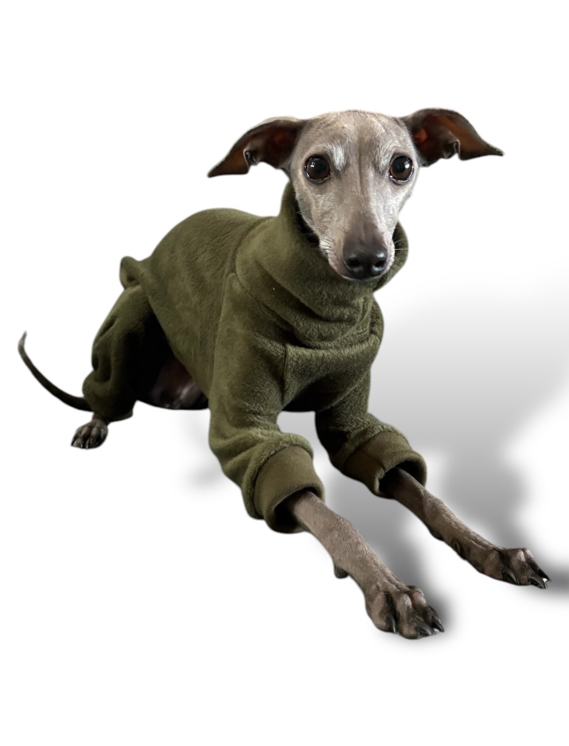 Fleece Lined Sweatshirt - Olive