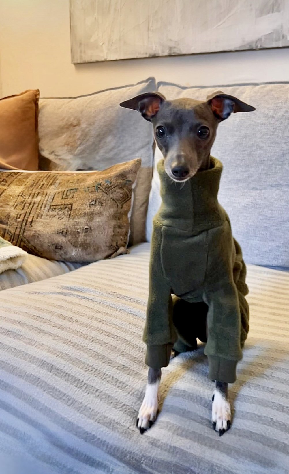 Fleece Lined Sweatshirt - Olive