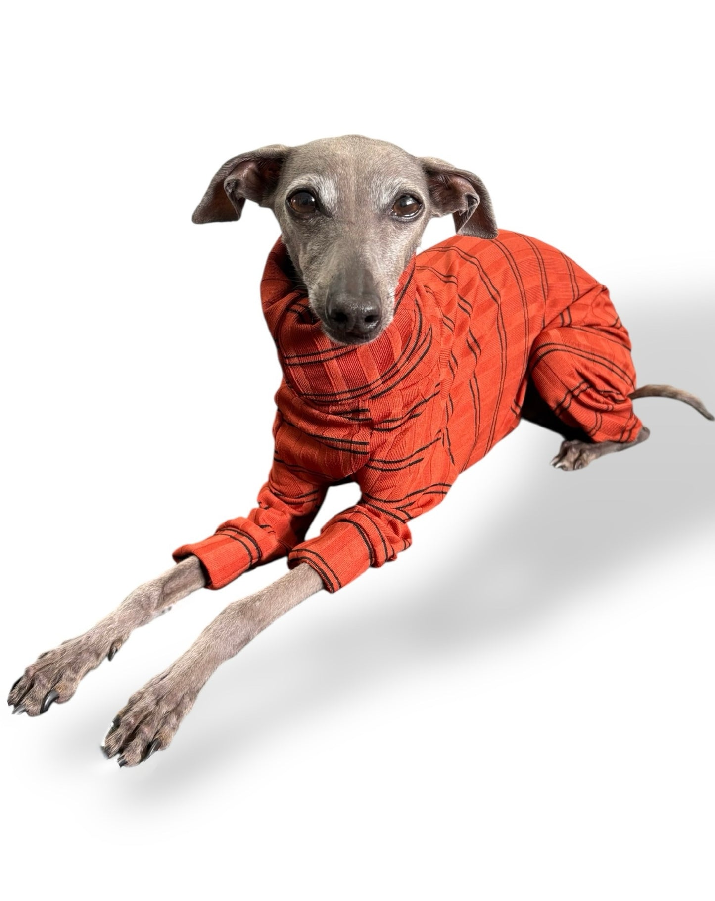 Ribbed Jersey Suit - Rust Orange