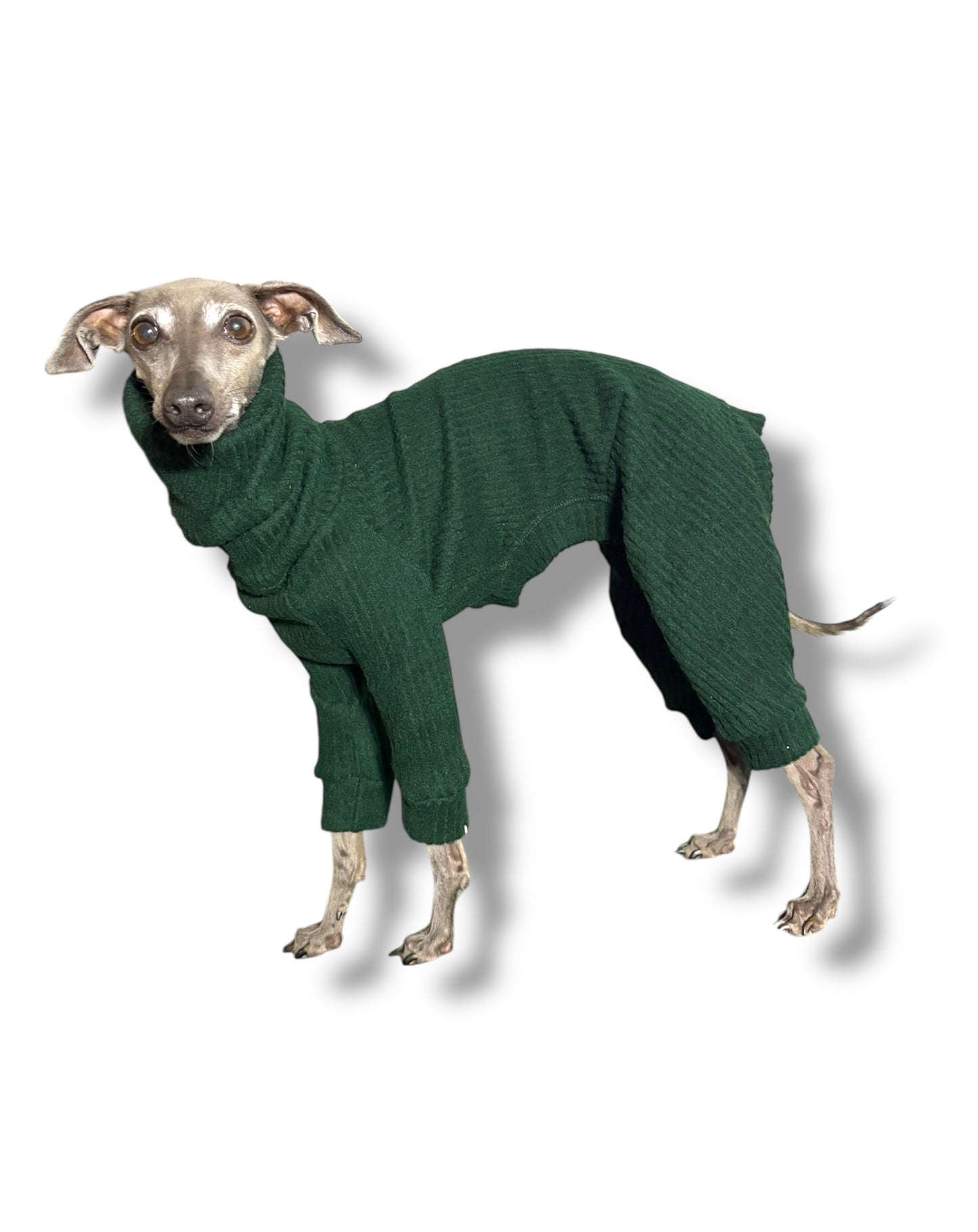 Ribbed Jersey Suit - Bottle Green
