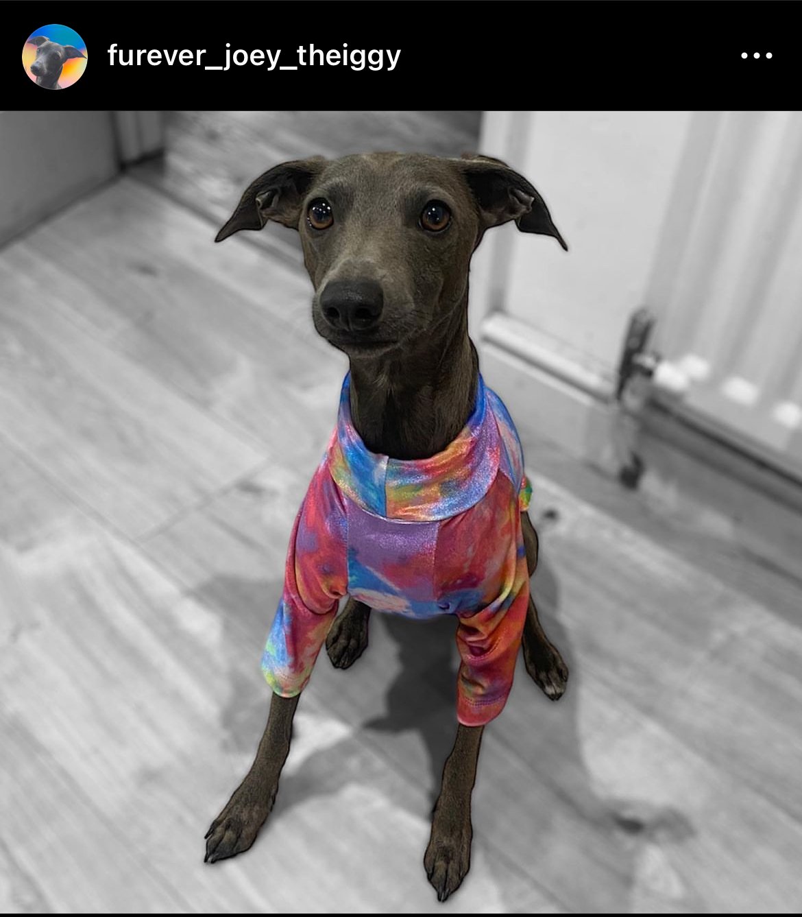 Jersey T-Shirt - Disco Fever