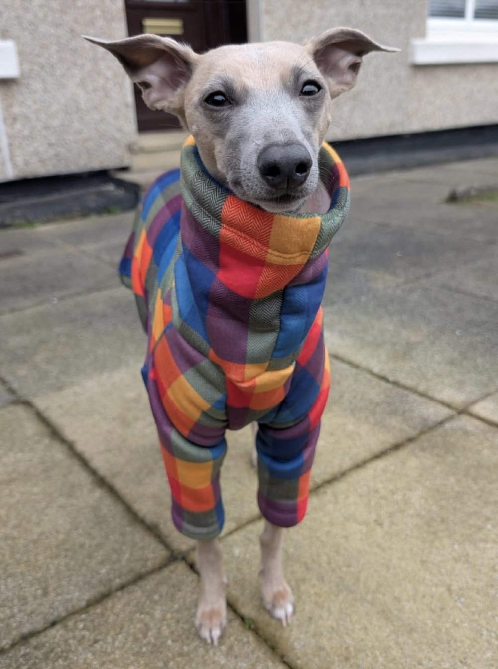 Sherpa Lined Fleece Jumper - Bright Plaid