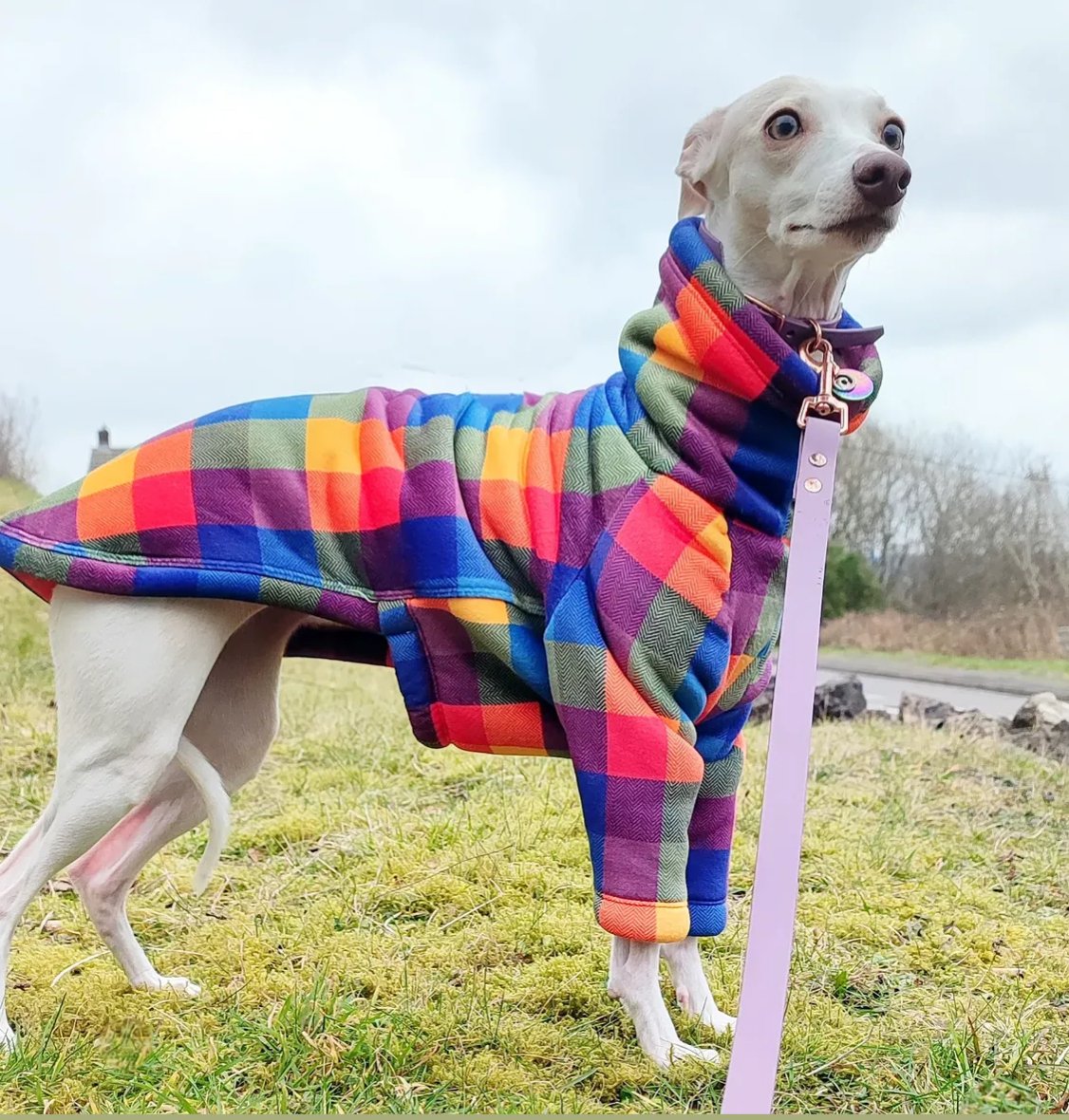 Sherpa Lined Fleece Jumper - Bright Plaid