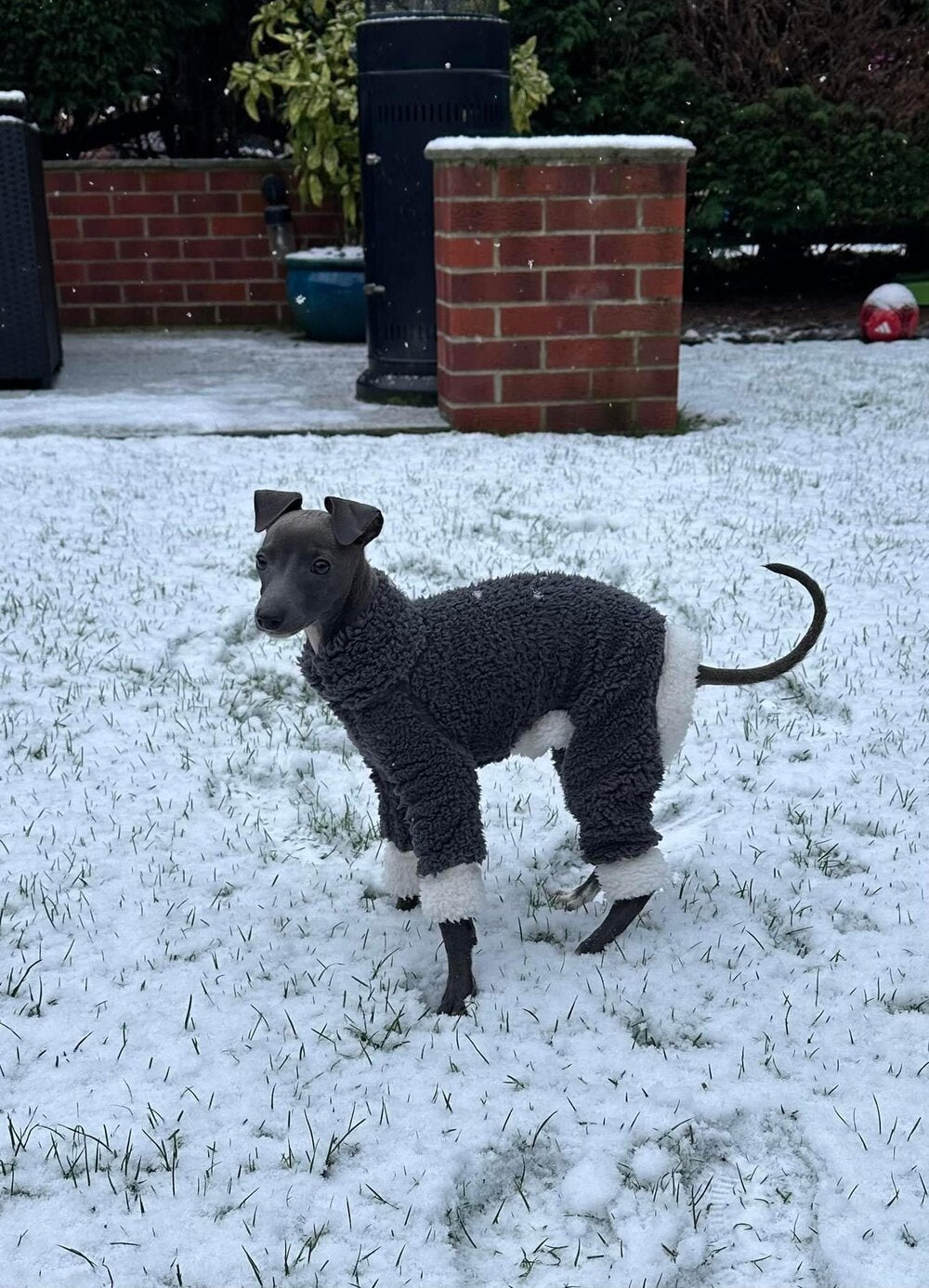 Cuddle Fur Fleece Suit - Light Grey