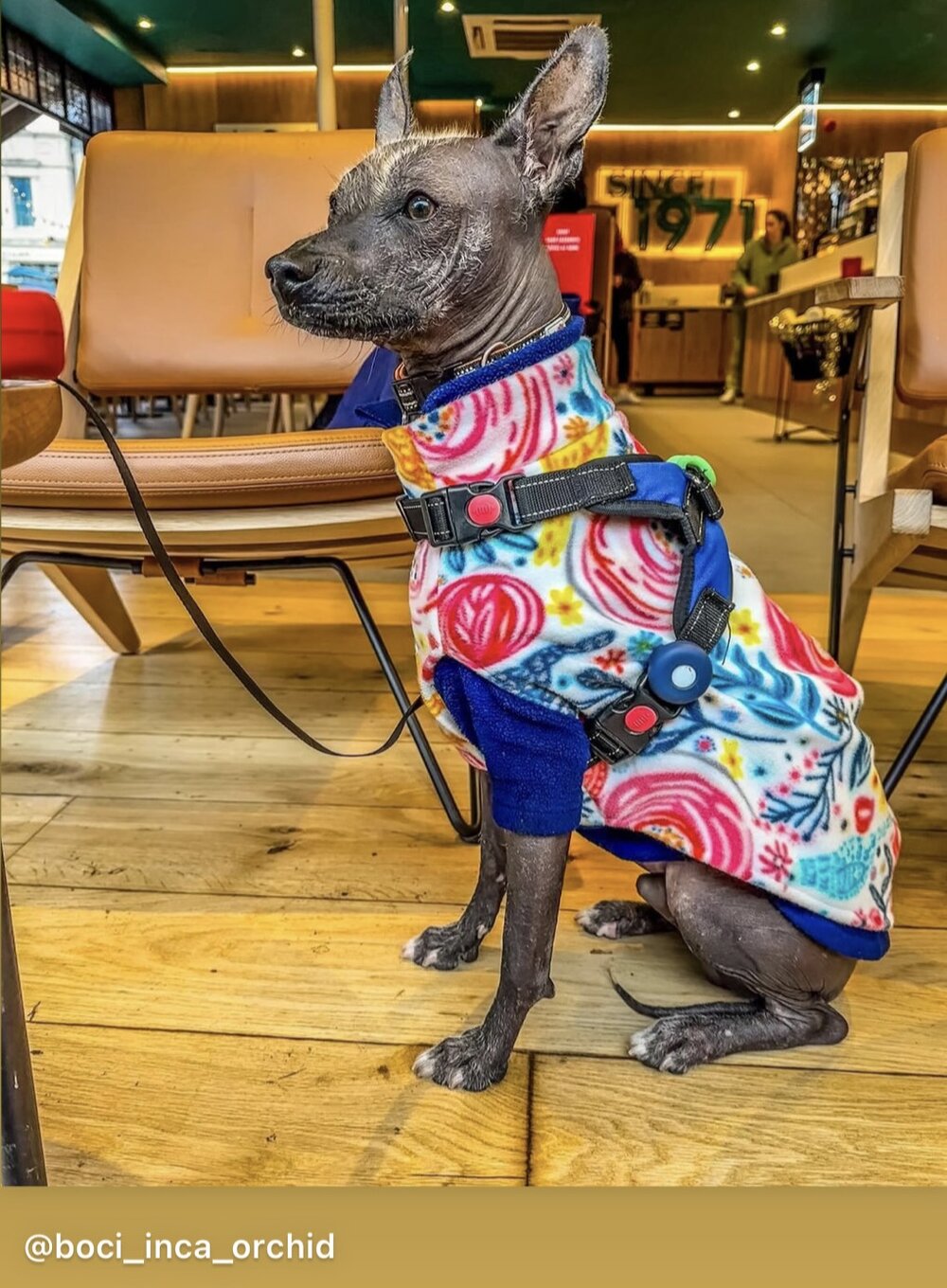 Fleece Vest - Peony Garden