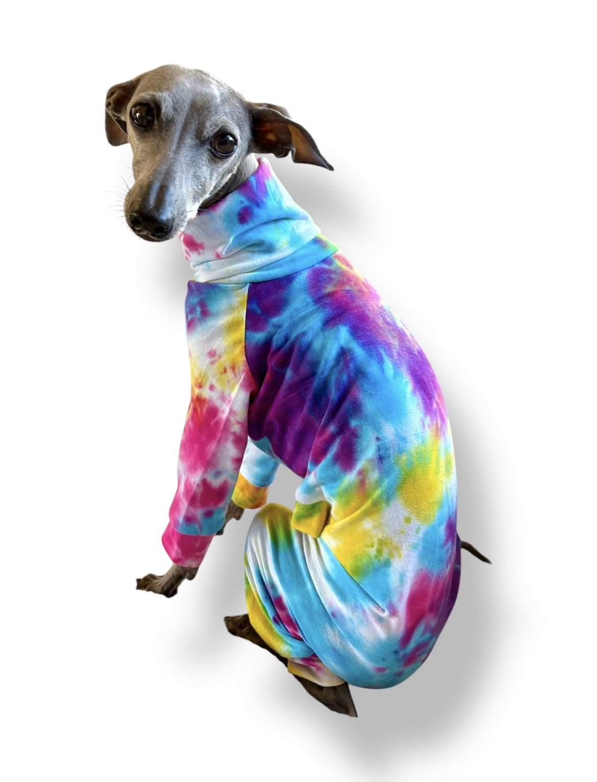 Jersey Suit - Rainbow Tie Dye