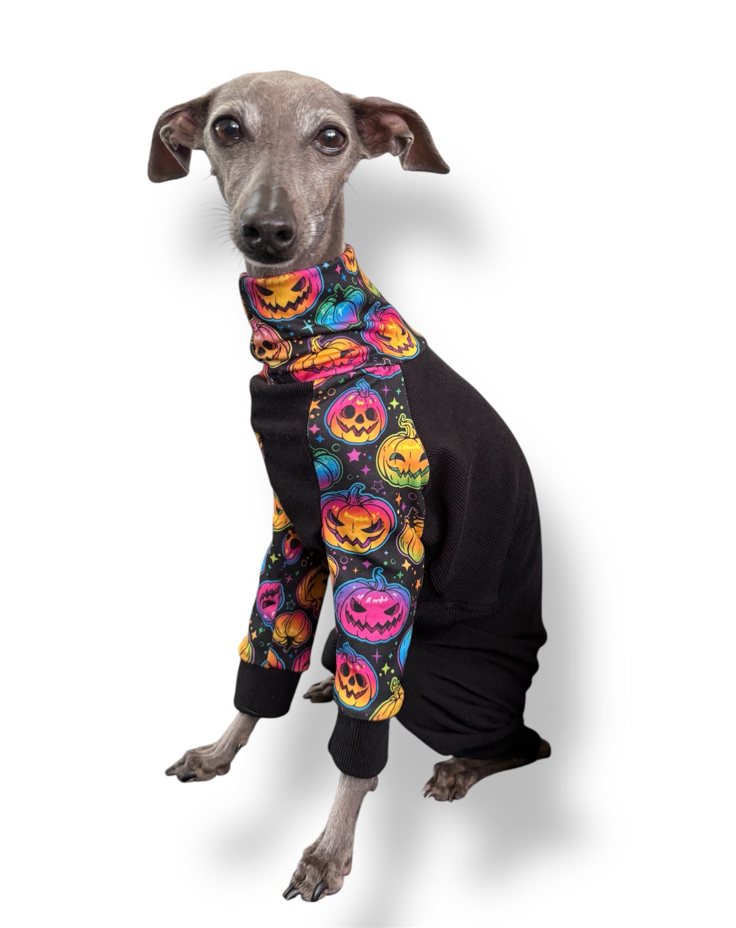 Jersey Suit - Ribbed Jersey & Neon Mushrooms
