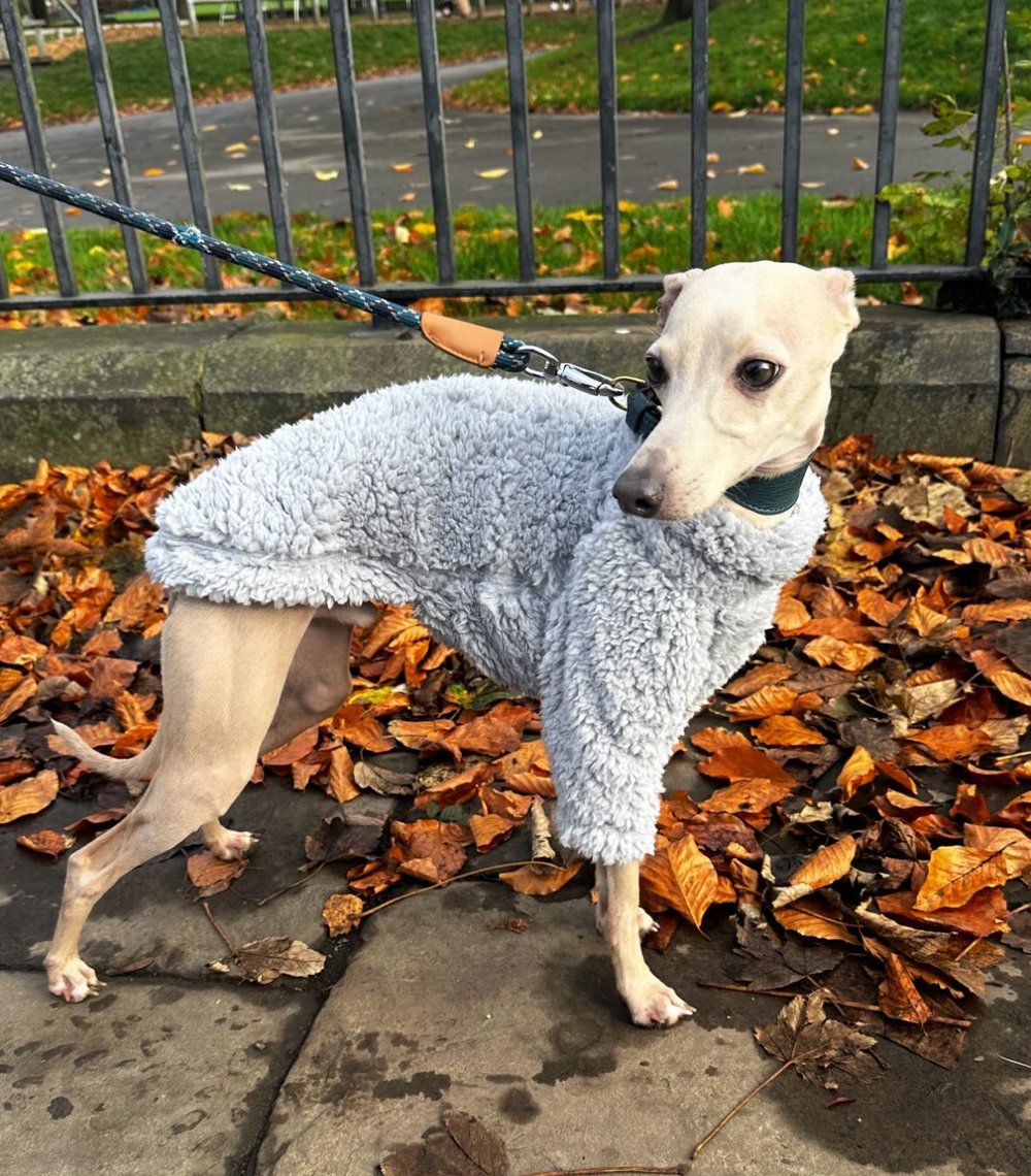 Cuddle Fur Fleece Jumper - Little Lamb