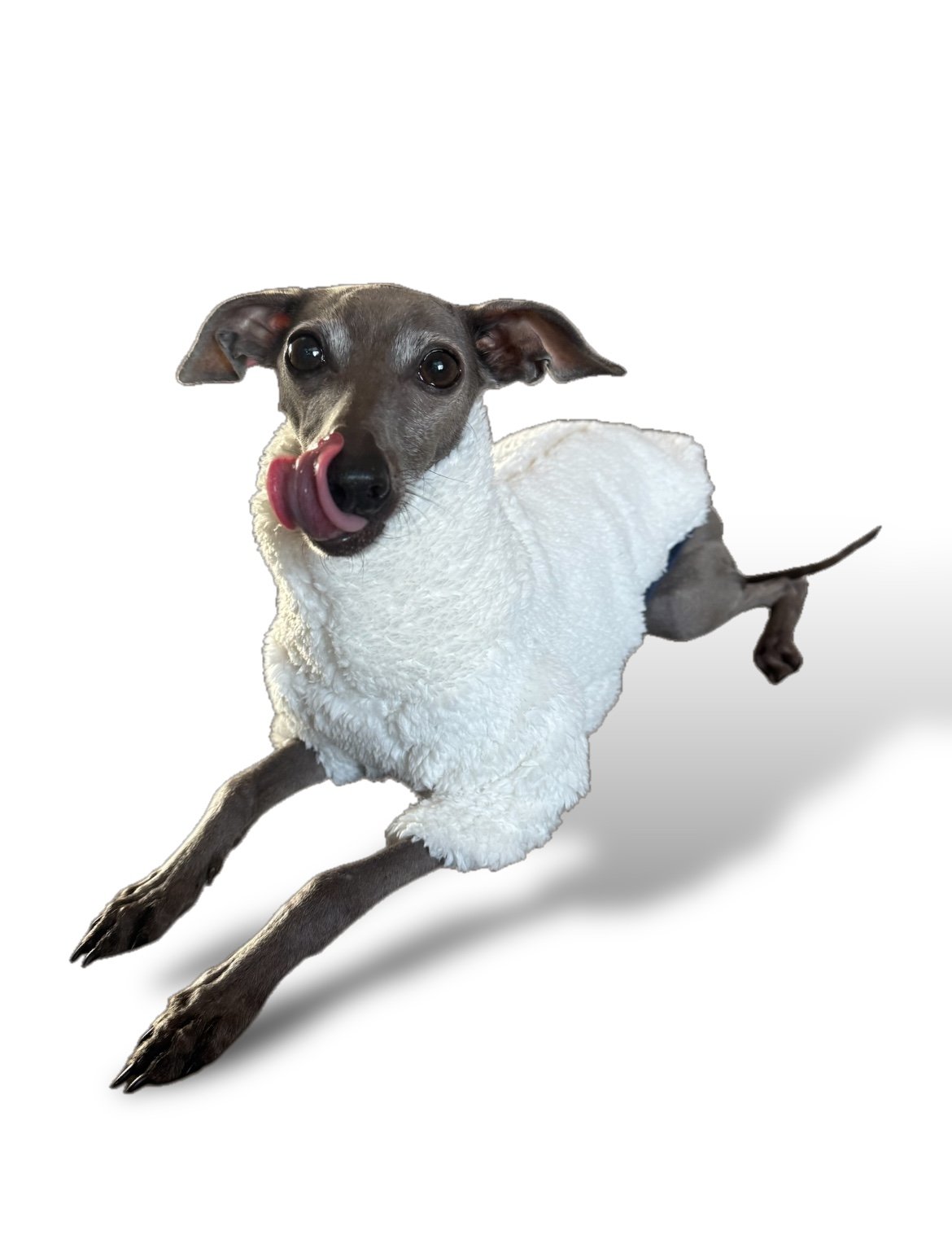 Cuddle Fur Fleece Jumper - Little Lamb