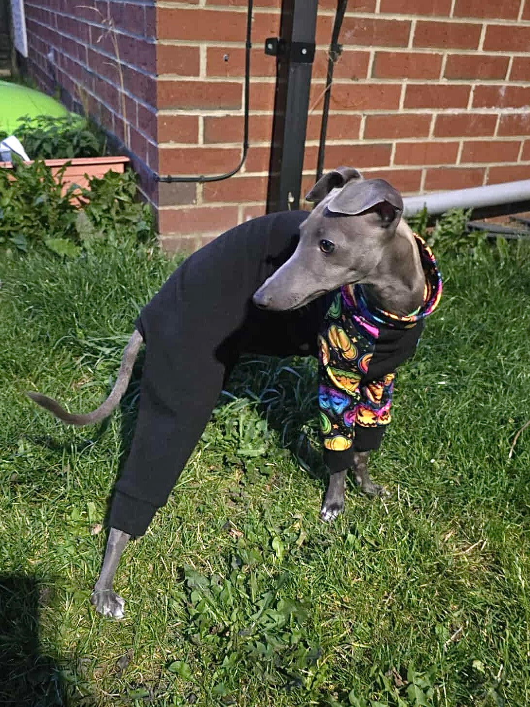 Jersey Suit - Ribbed Jersey & Neon Mushrooms
