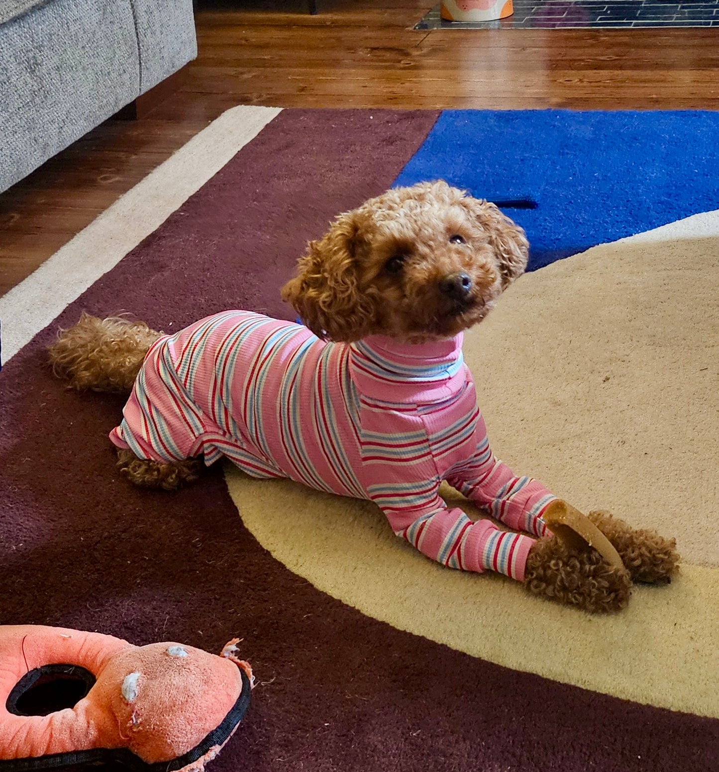Ribbed Jersey Suit - Pink Stripes