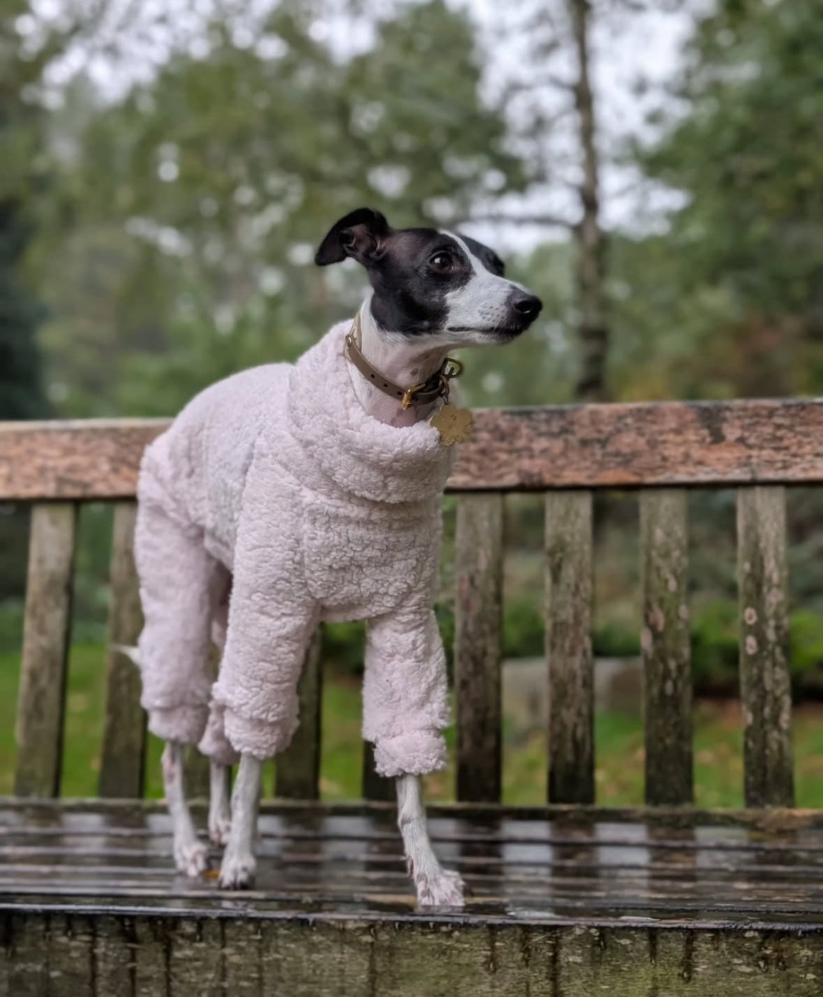 Cuddle Fur Fleece Suit - Baby Pink