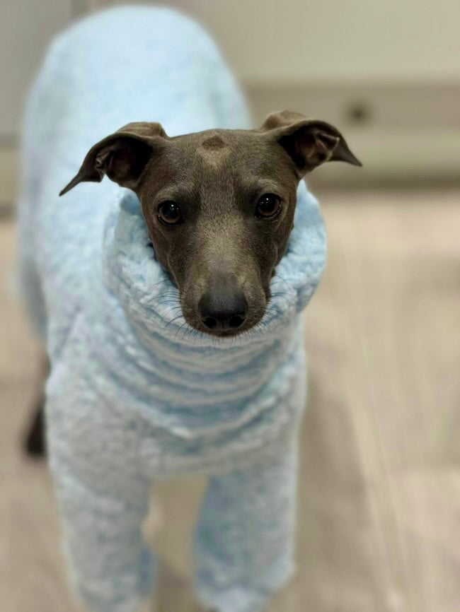 Cuddle Fur Fleece Suit - Baby Blue