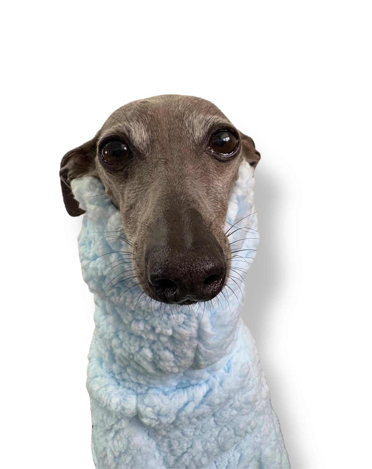 Cuddle Fur Fleece Suit - Baby Blue