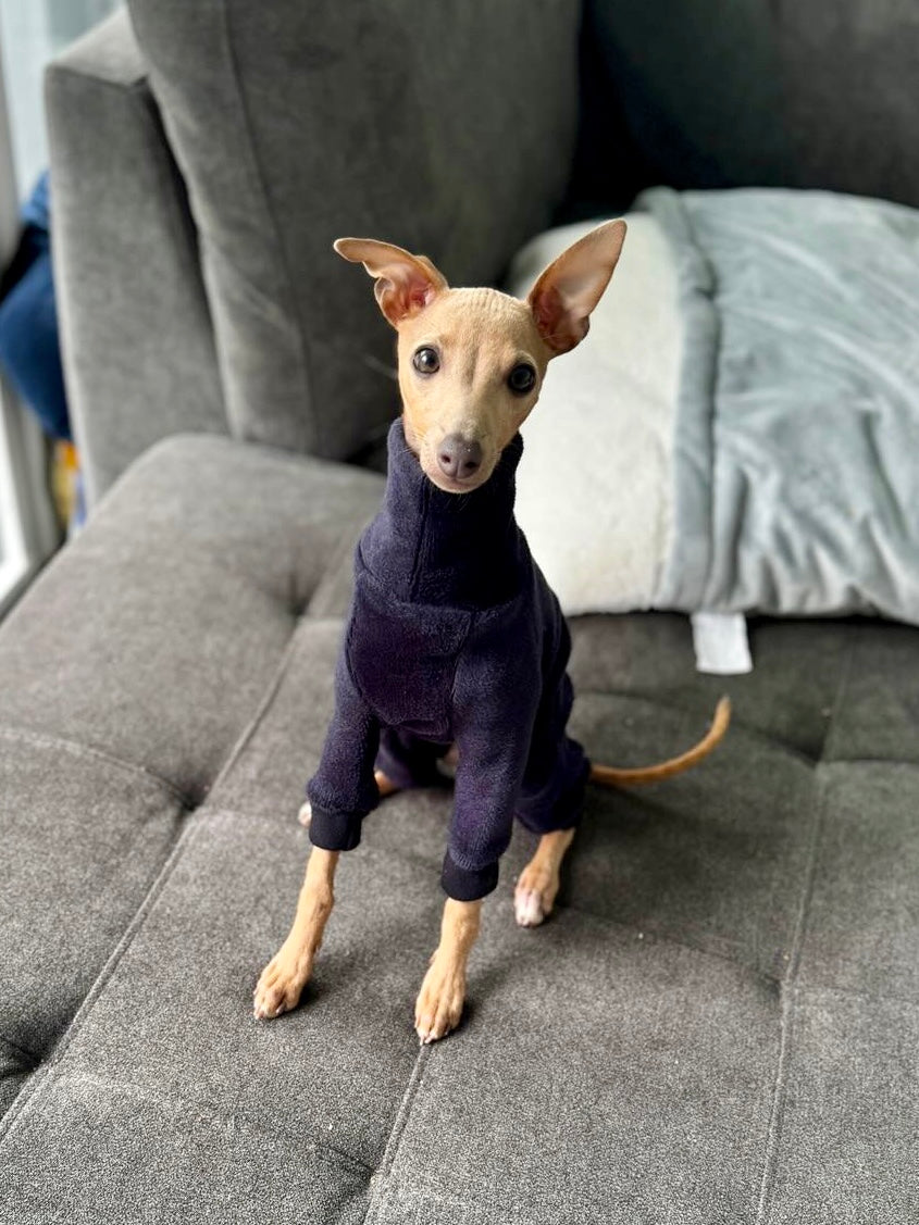 Fleece Lined Sweatshirt Suit - Navy Botanical