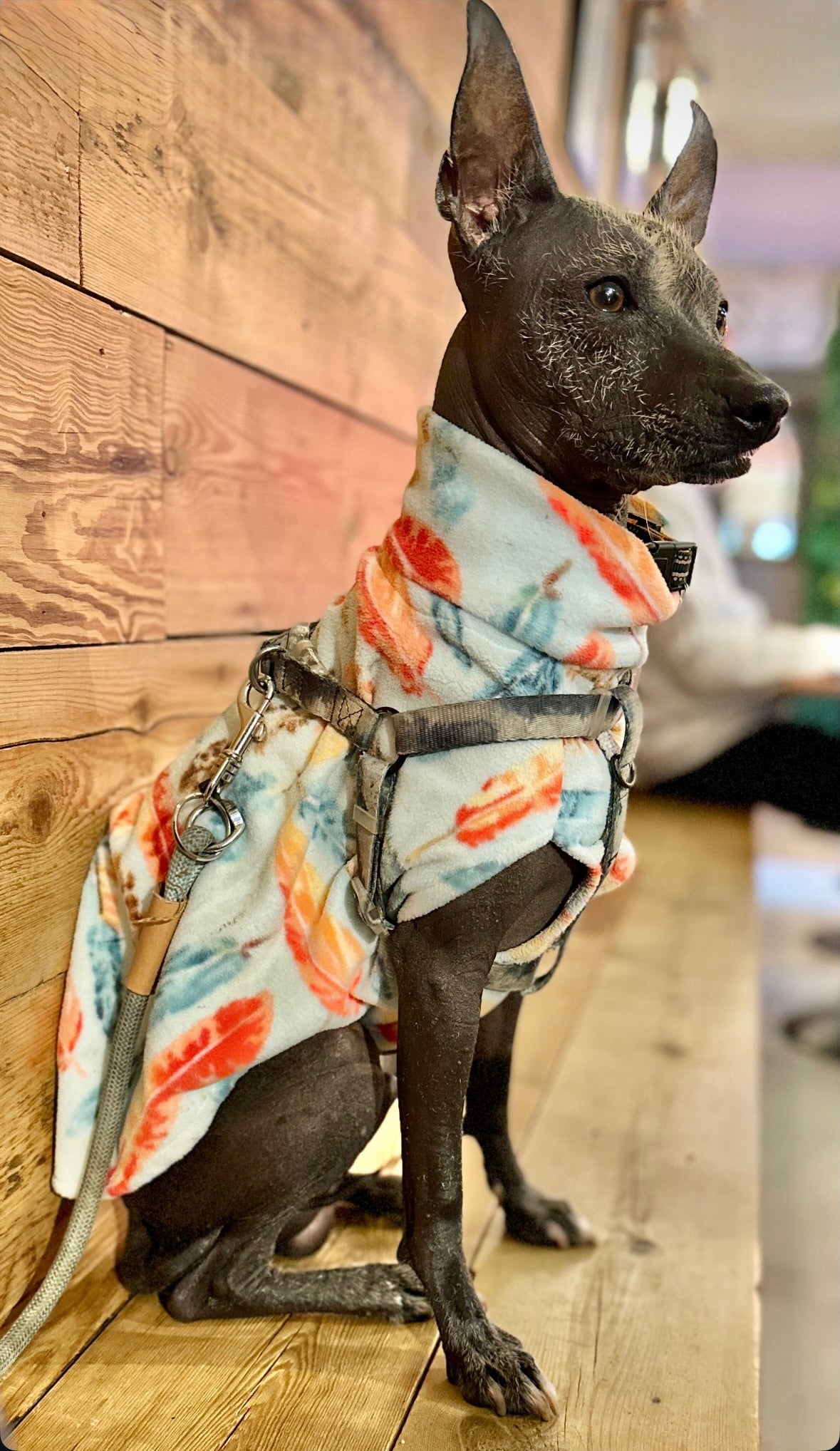 Fleece Vest - Green Check