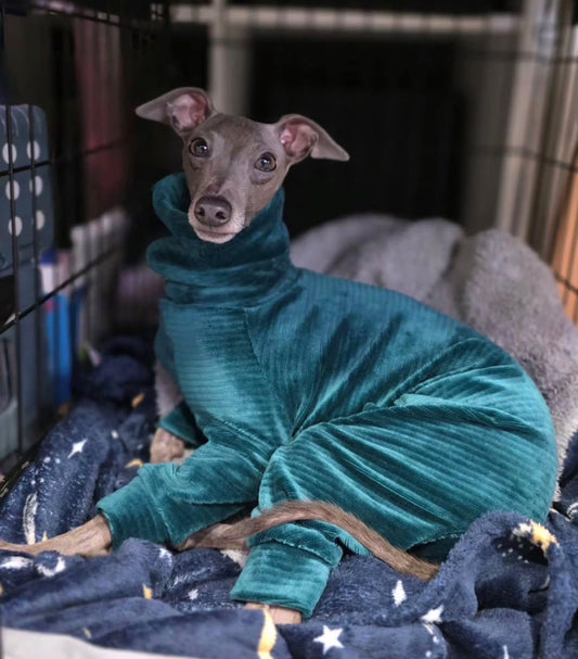 Jumbo Cord Jersey Suit - Emerald Green