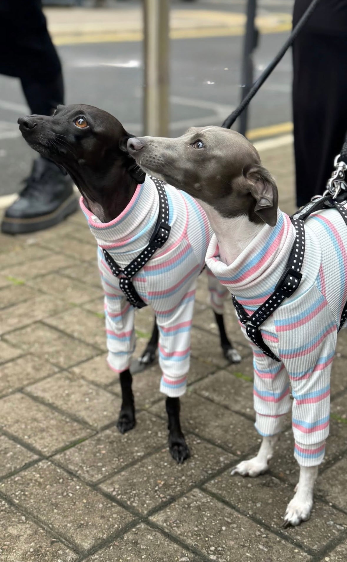 Ribbed Jersey Suit - Snowflakes