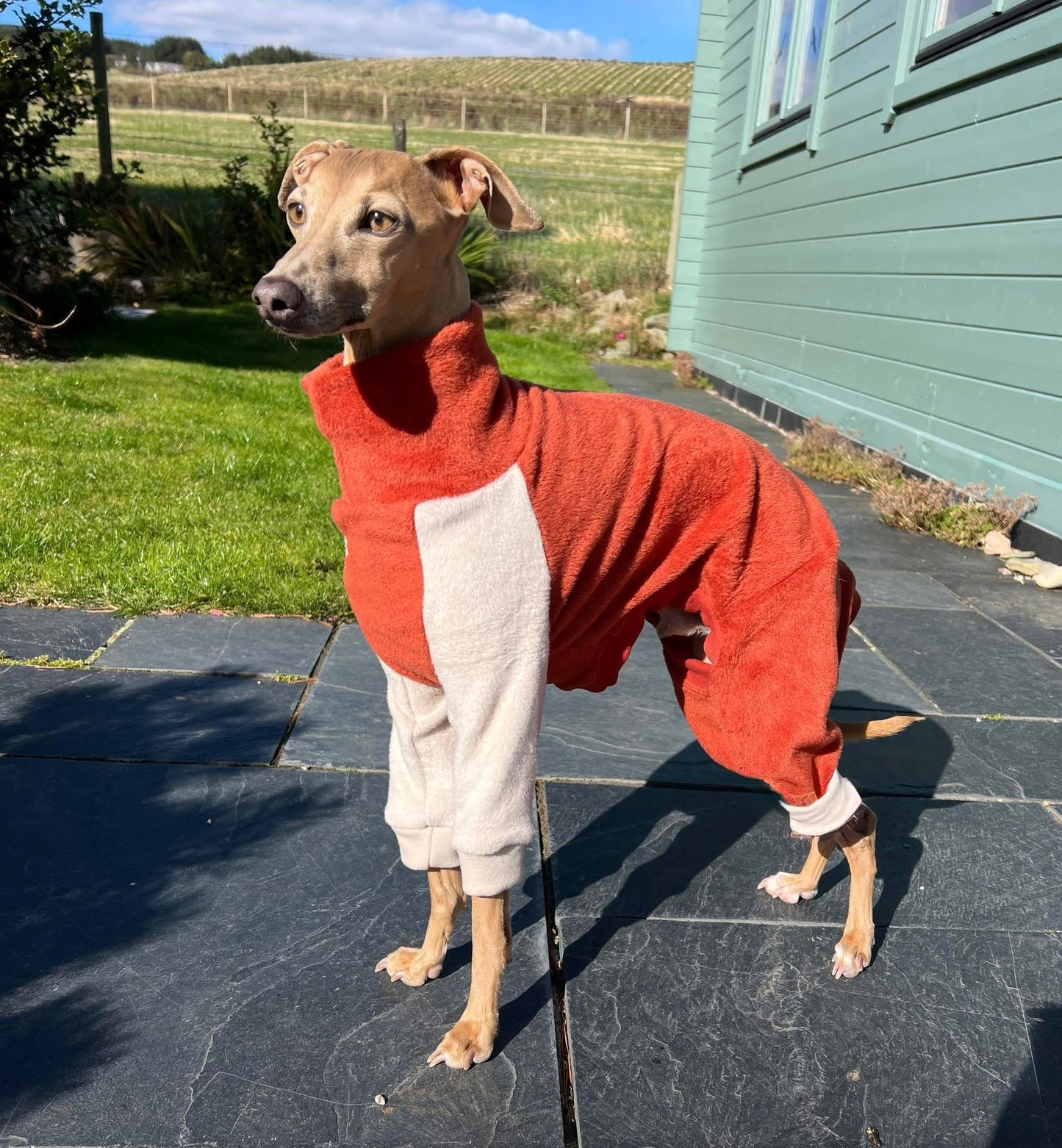 Fleece Lined Sweatshirt Suit - Pumpkin Spice