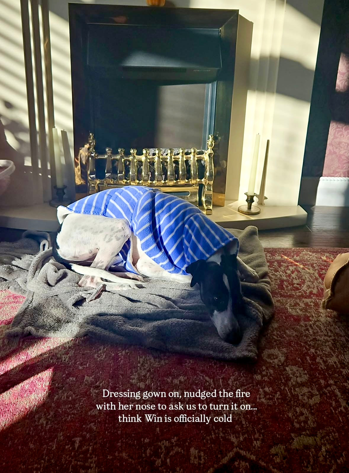 Dressing Gown - Cosy Blue Check