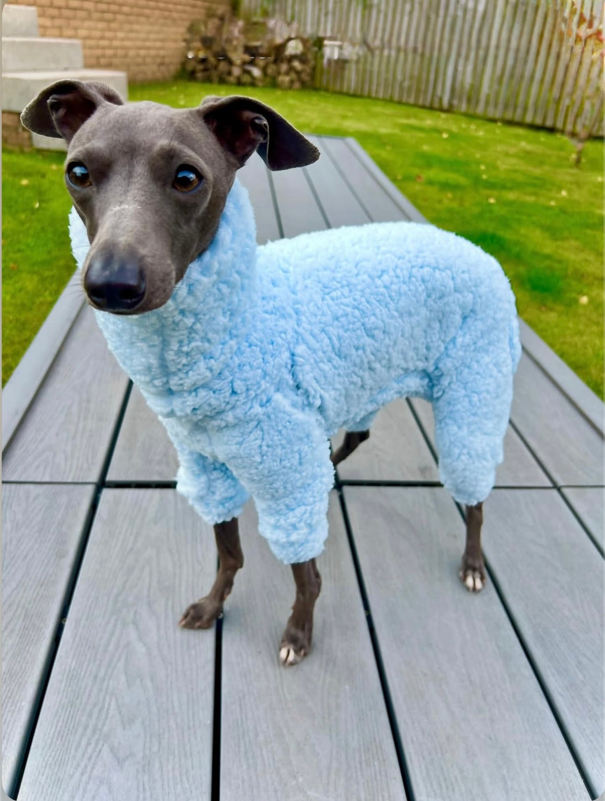 Cuddle Fur Fleece Suit - Baby Blue