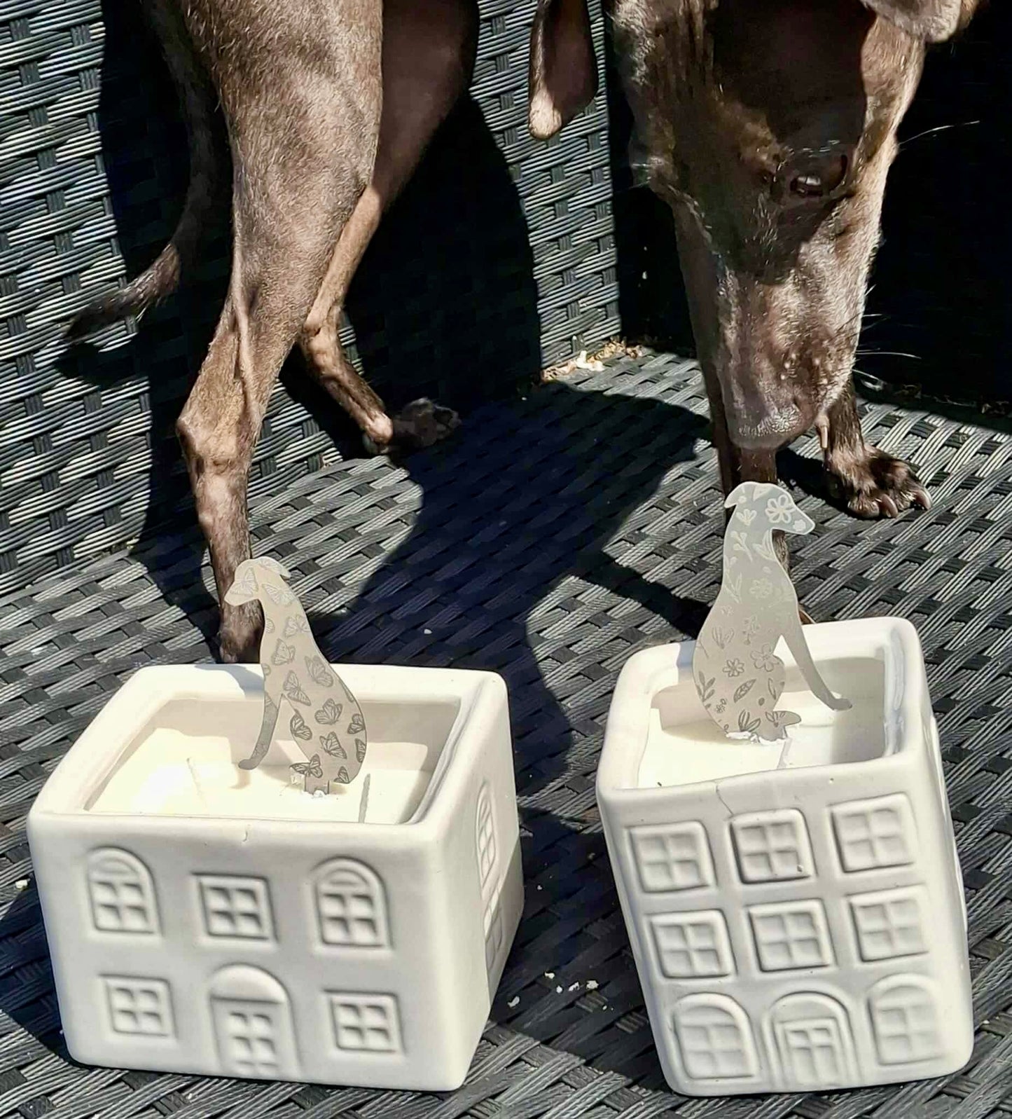 Sighthound Candle Stake