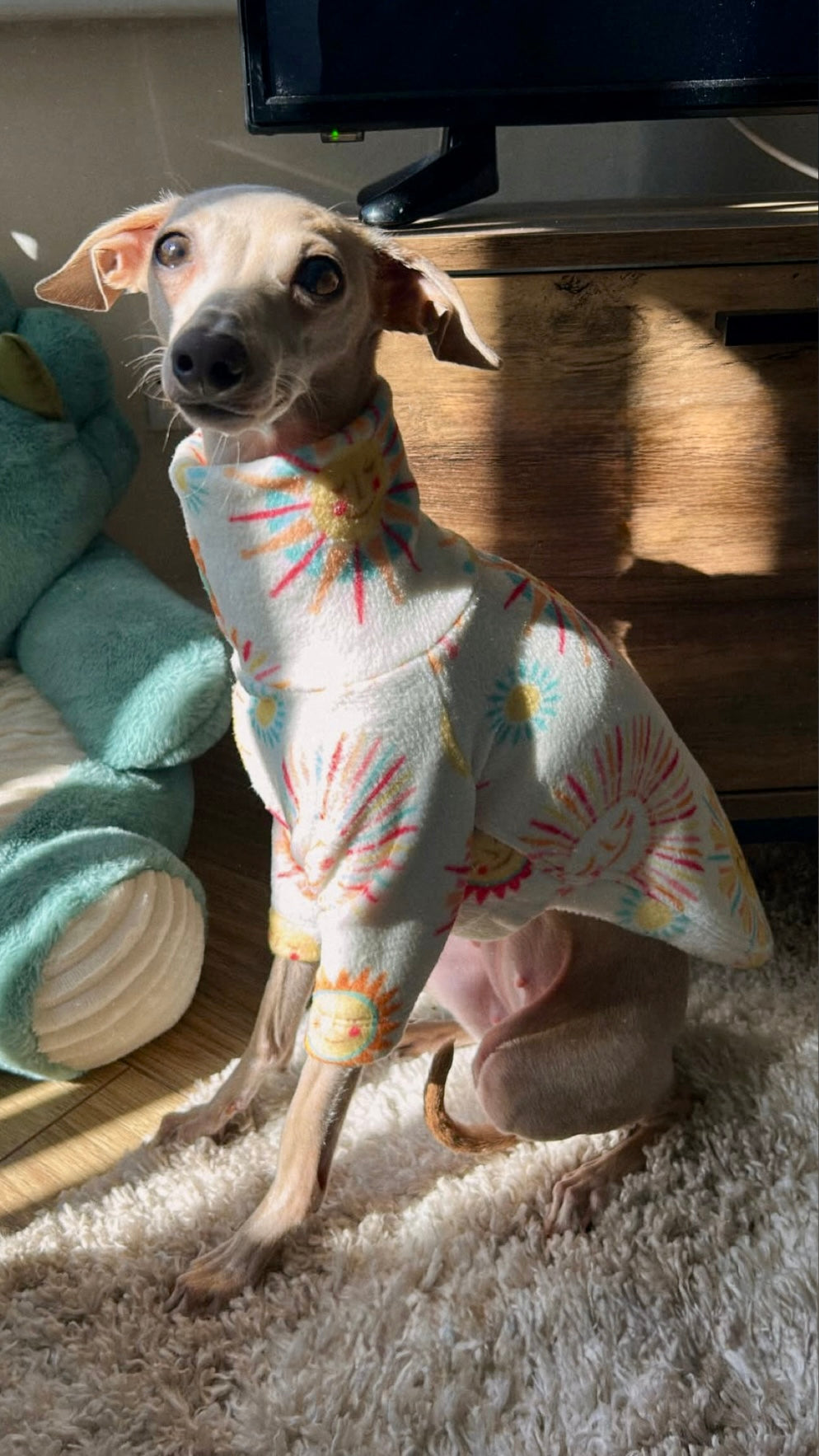 Fleece Jumper - Shine On