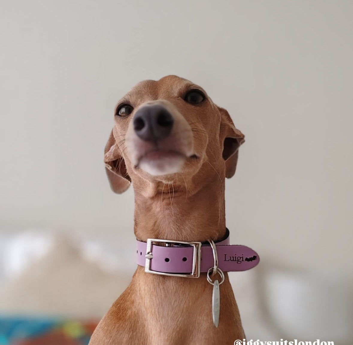 Leather Collar - HALLOWEEN - Ghosties