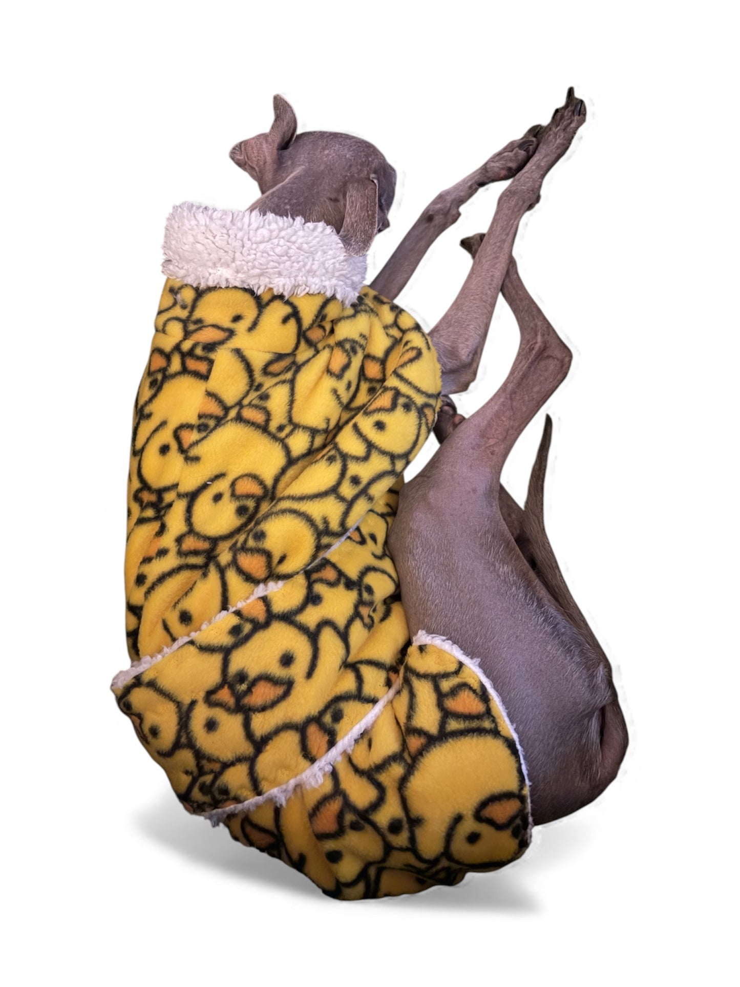 Dressing Gown - Rubber Duckies