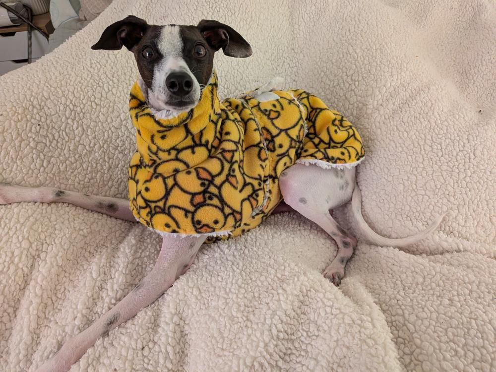 Dressing Gown - Blue Daisys