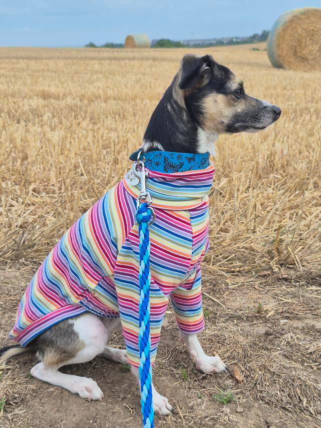 Jersey T-Shirt- Rainbow Stripes