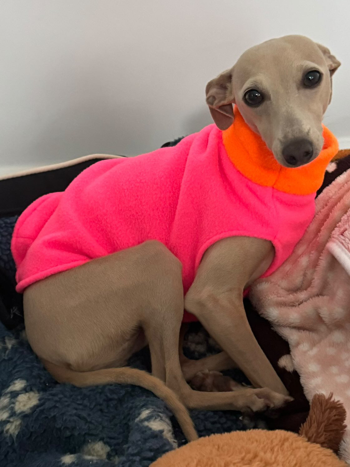 Fleece Vest - Colour Block Puppy Fleece