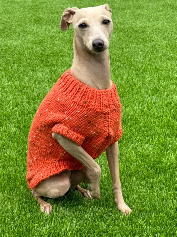 Knitted Jumper - Indigo Fleck