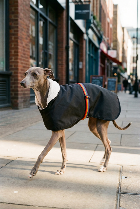 Waterproof Rain Mac - Black & Rainbow