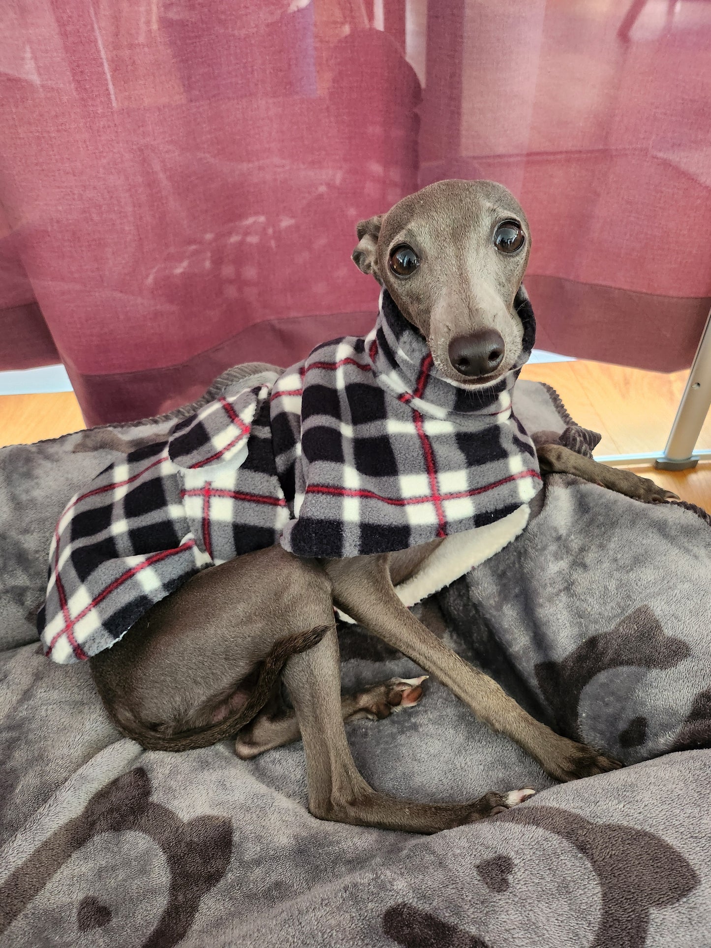 Dressing Gown - Cosy Blue Check
