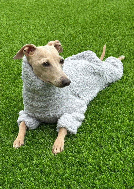 Cuddle Fur Fleece Suit - Light Grey