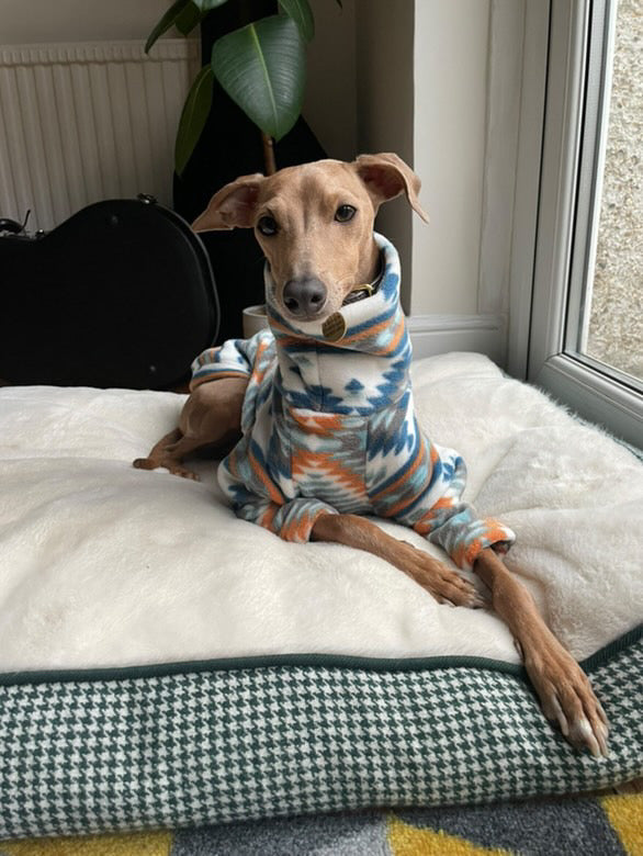 Fleece Jumper - Aztec Ultra-Plush