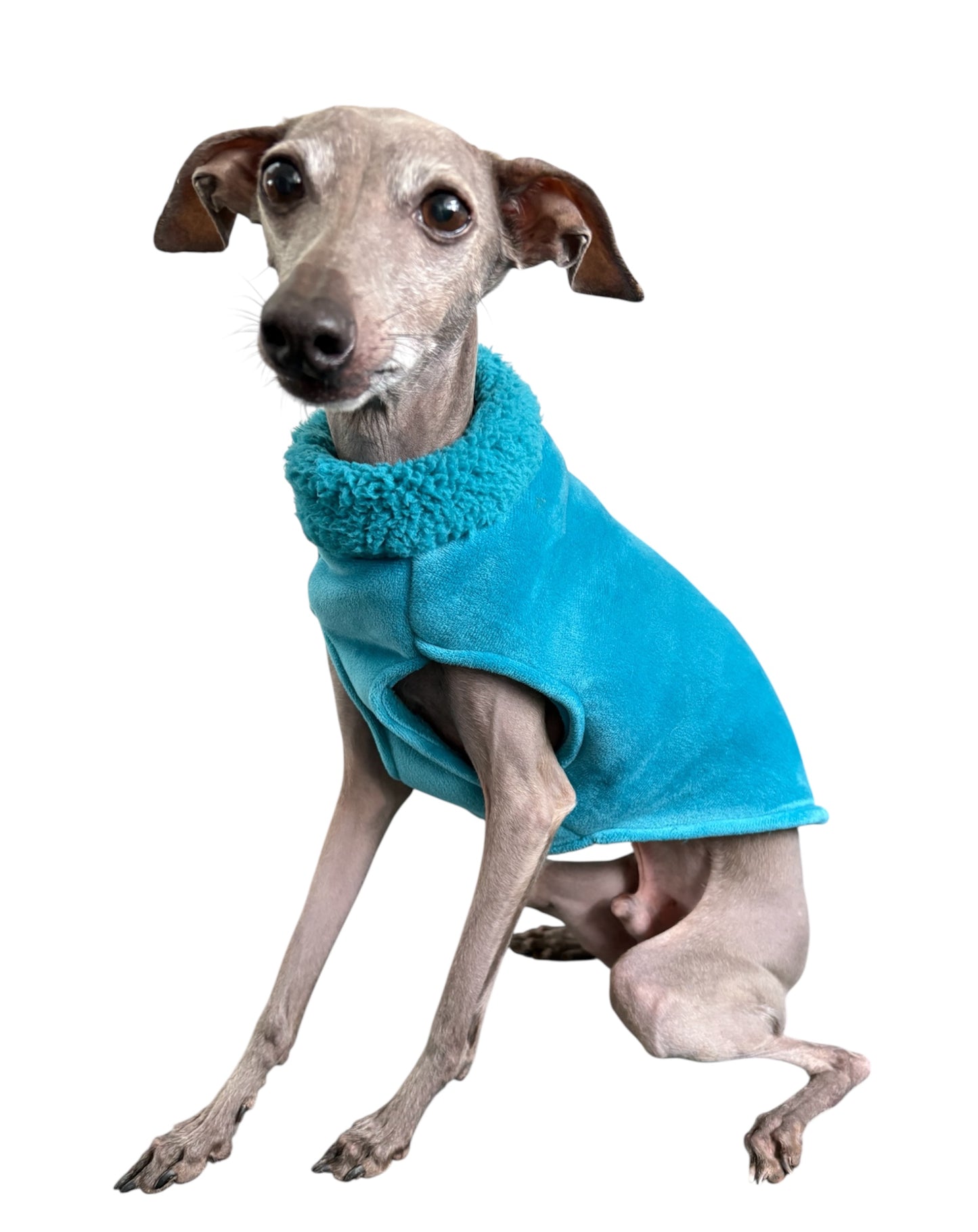 Sherpa Lined Fleece Vest - Magenta