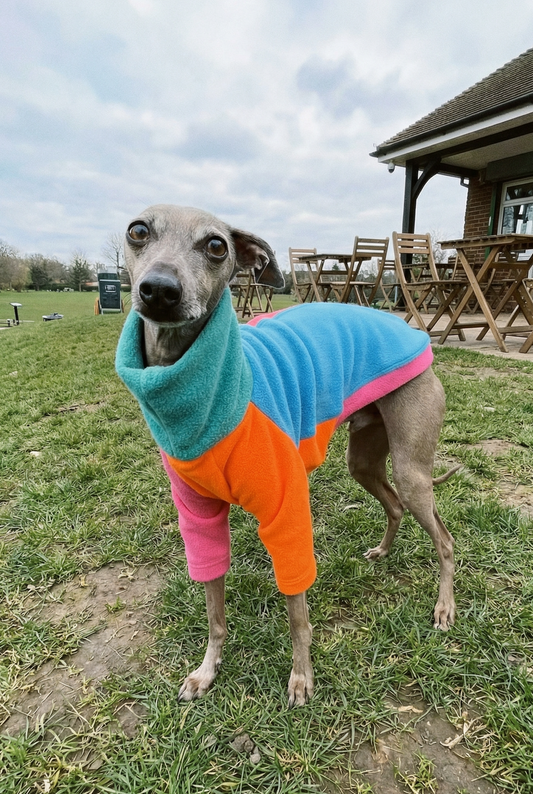 Fleece Jumper - Neon Colour Block