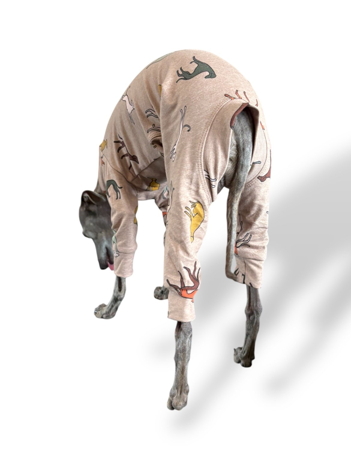 Jersey Suit - Houndin' Around!