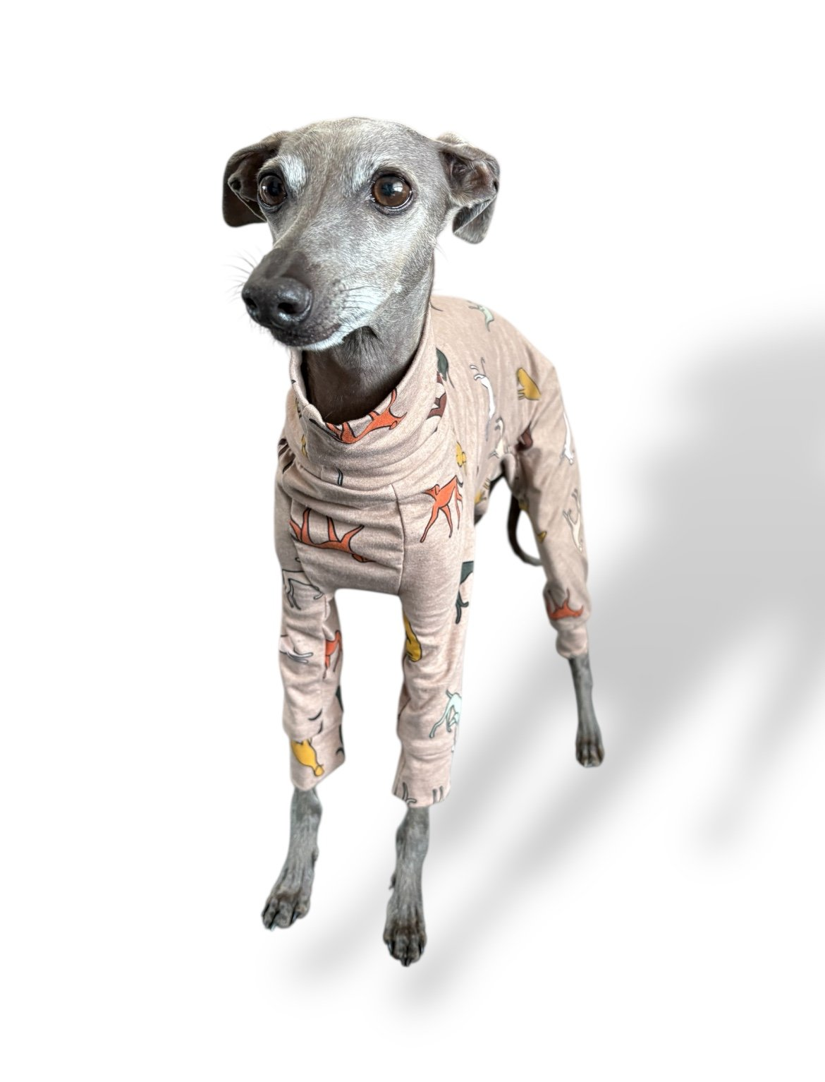 Jersey Suit - Houndin' Around!
