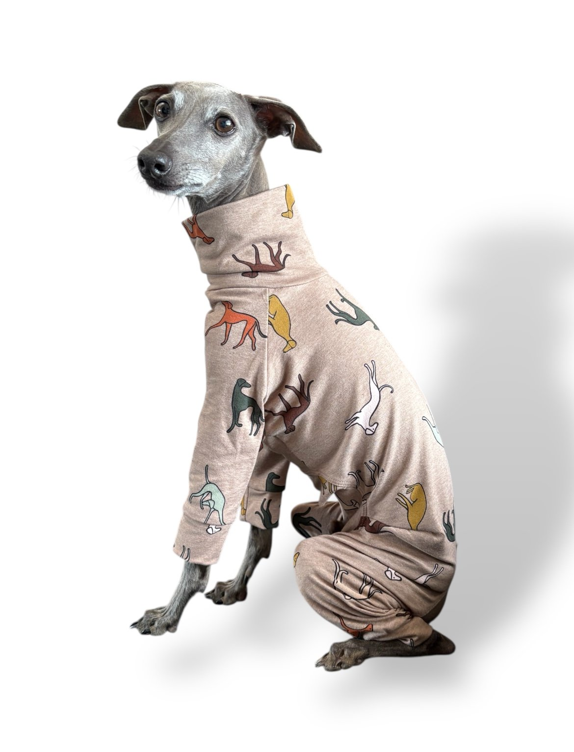 Jersey Suit - Houndin' Around!