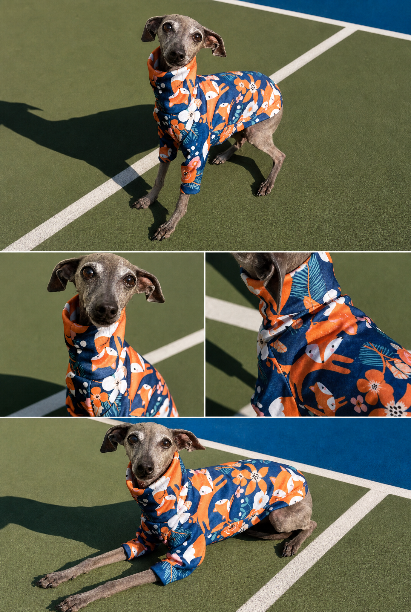 Lightweight Sweatshirt - Full Of Beans