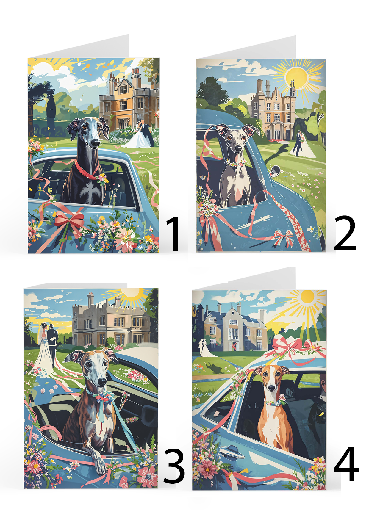 Birthday & Greetings Cards