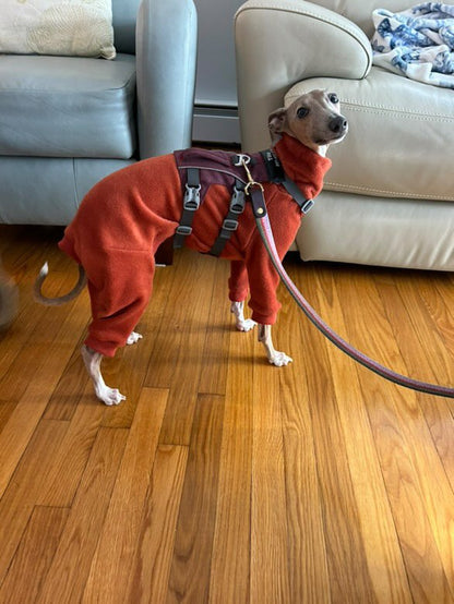 Fleece Lined Sweatshirt Suit - Rust Orange
